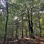 4 Person In Henne Дом отдыха Хенне-Странн