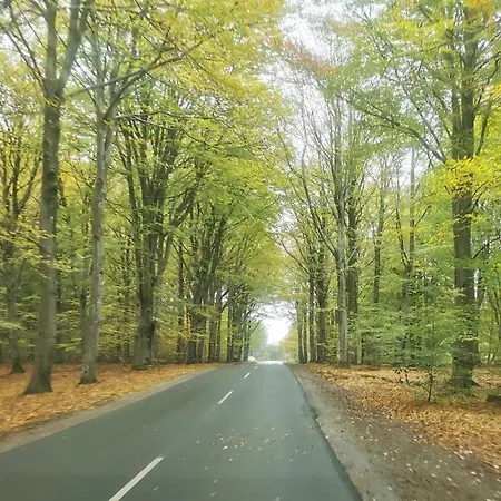 Casa vacanze 4 Person In Henne-by Traum Henne Strand