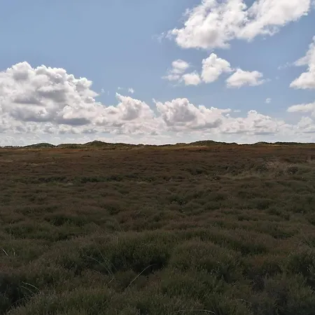 4 Person In Henne-by Traum