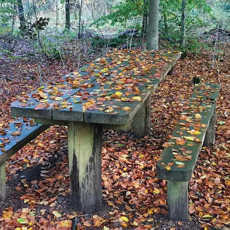 4 Person In Henne-by Traum Casa vacanze Henne Strand