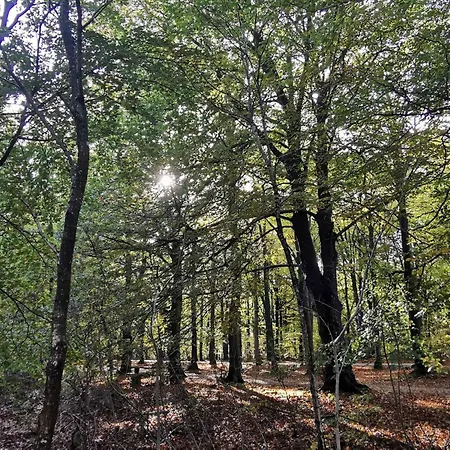 4 Person In Henne-by Traum Ferienhaus Henne Strand