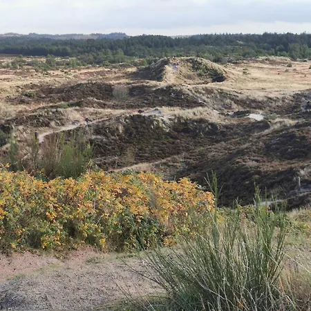 Casa vacanze 4 Person In Henne-by Traum