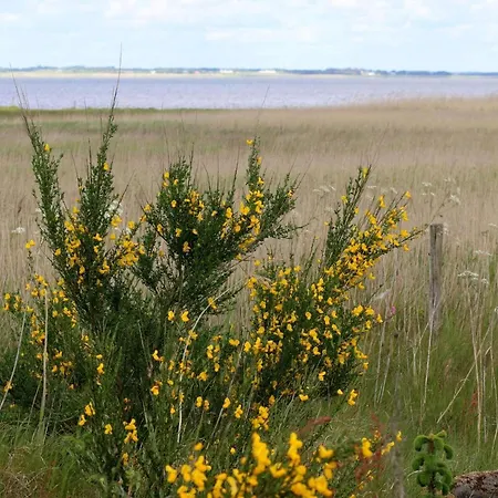 4 Person In Henne-by Traum *